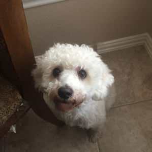 Meet your Posher, Ximena